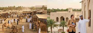 Al Ain camel market and traditional heritage fort with travelers UAE
