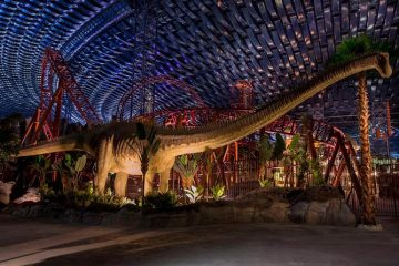 Walk among giants before the ride takes off