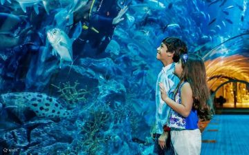 Little explorers discovering the wonders of the underwater world.