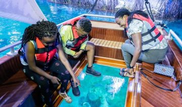 family looking through glass bottom boat at marine life aquarium experience