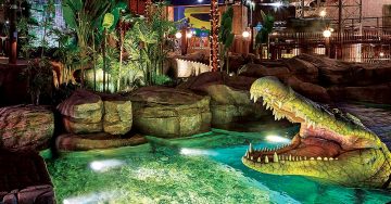 giant animatronic dinosaur in jungle themed park IMG Worlds Dubai