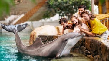 family interacting with dolphin at SeaWorld Abu Dhabi