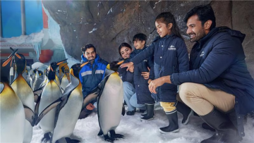 family watching penguins in icy habitat at SeaWorld Abu Dhabi