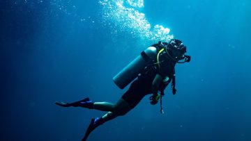diver exploring underwater marine life at SeaWorld Abu Dhabi