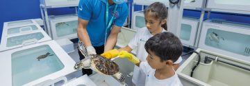 children learning about sea turtle care with staff at aquarium