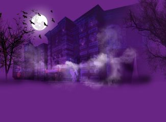 haunted hotel building IMG Worlds Dubai night spooky theme bats fog