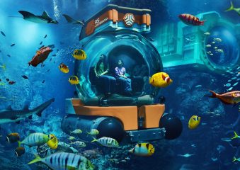 underwater submersible ride seaworld abu dhabi aquarium experience