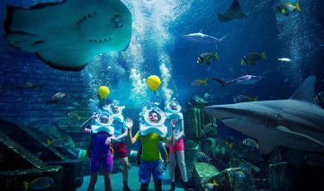 Four people wearing specialized diving helmets walking underwater surrounded by sharks, stingrays, and tropical fish.