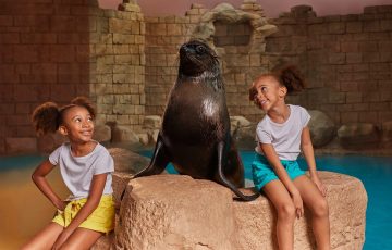 Two young girls sitting on a rock smiling and looking at a dark-furred sea lion sitting between them in an ancient-themed habitat