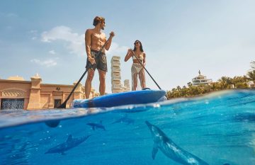 A man and woman on a blue paddleboard seen from a split underwater perspective with dolphins swimming below them.