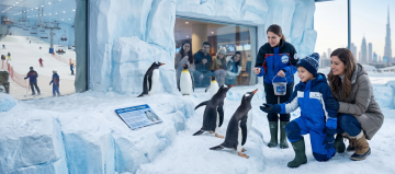 A young boy and a woman interacting with Gentoo and King penguins while a staff member provides information in a snowy indoor setting.