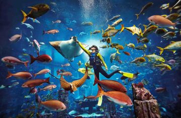 A scuba diver in a yellow and black suit surrounded by hundreds of colorful fish and a large stingray in a massive aquarium.