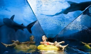 Two people on a yellow inflatable raft sliding down a steep, curved blue water slide with lush tropical palm trees in the background.
