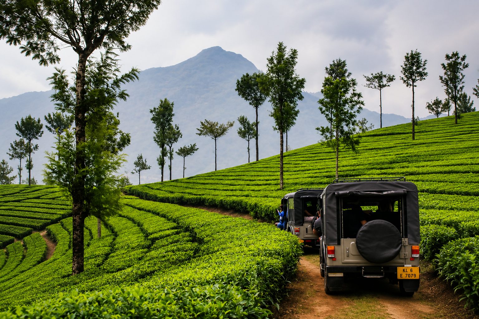 Adventure jeep driving through tea plantations in Munnar with mountains in the background.