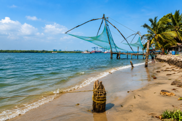 Experience Kerala's timeless fishing traditions on the tranquil backwaters.