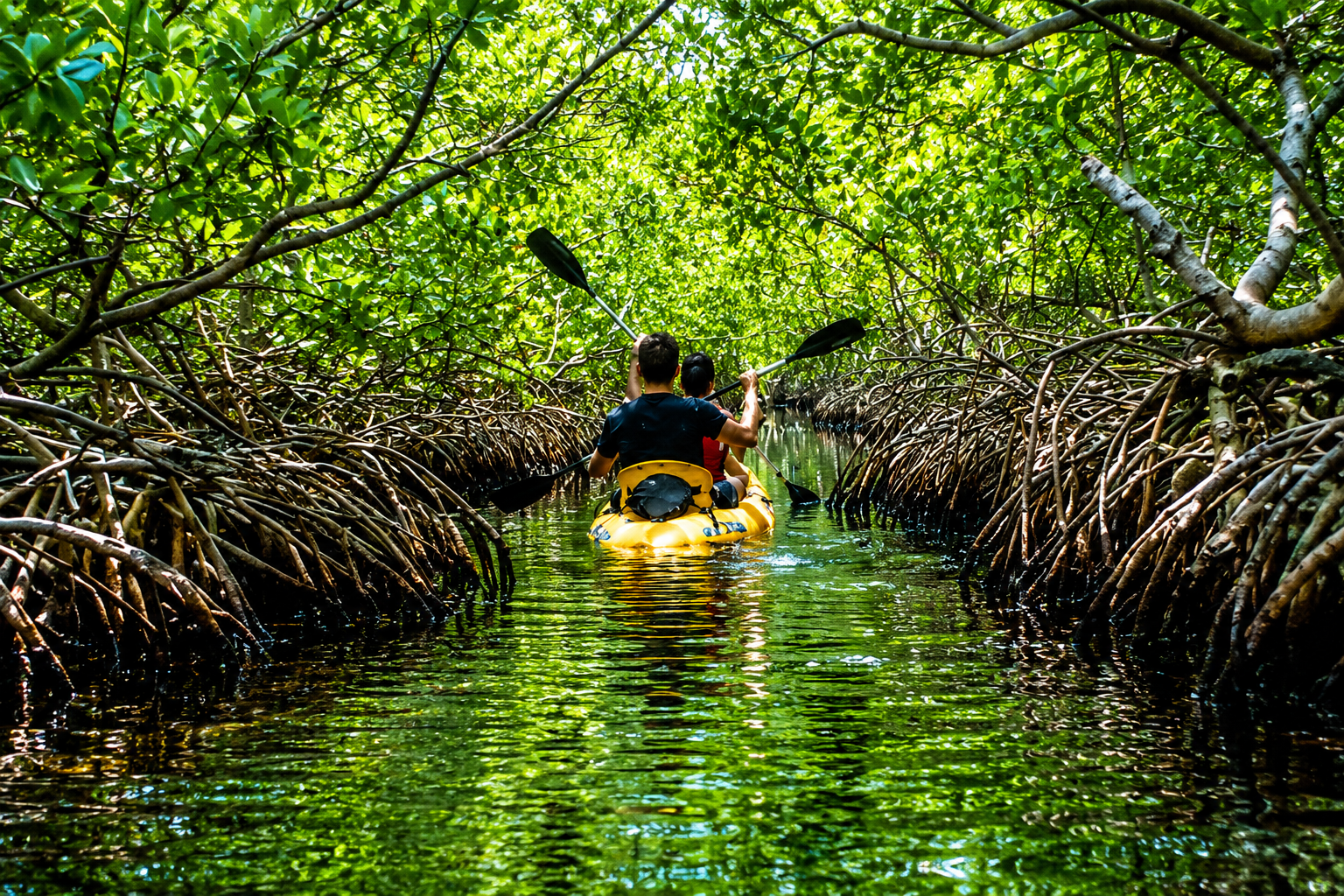 Una coppia in kayak attraverso una lussureggiante foresta di mangrovie, ricca di radici fitte e corsi d'acqua tranquilli, nelle Isole Andamane.