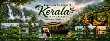 Kerala monsoon travel guide featuring waterfalls, tea plantations, houseboats, Ayurveda and cultural attractions.