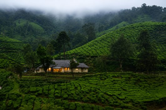 Un viaggiatore ammira le viste panoramiche delle dolci colline ricoperte di piantagioni di tè di Munnar, nel Kerala.