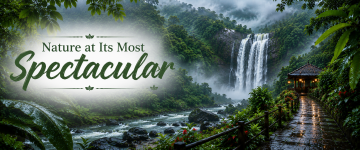Spectacular waterfall surrounded by lush rainforest and rivers during Kerala's monsoon season.