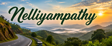 Panoramic view of Nelliyampathy Hills with winding mountain road, mist-covered valleys, and lush green Western Ghats in Kerala.