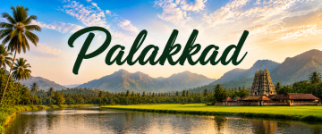 Scenic view of Palakkad with lush paddy fields, the Western Ghats, and a traditional Kerala temple.