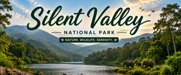 Dense rainforest and river valley with elephants in Silent Valley National Park.