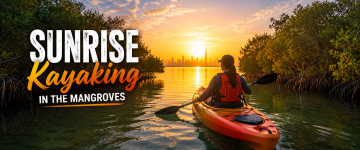 Sunrise Kayaking in Dubai Mangroves