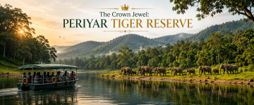 Boat safari on Periyar Lake with a herd of elephants along the forest shoreline in Periyar Tiger Reserve.