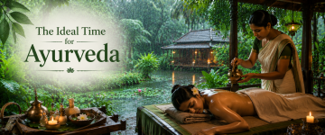 Traditional Ayurvedic massage treatment in Kerala during the monsoon season at a luxury wellness retreat.
