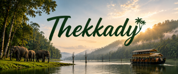Wild elephants beside Periyar Lake with a sightseeing boat in Thekkady