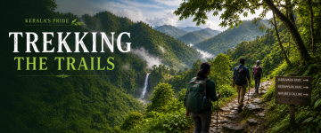 Hikers exploring lush forest trails with waterfalls and mist-covered hills in Kerala