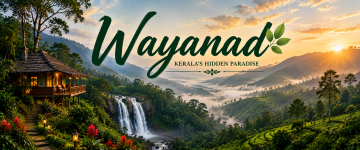Waterfall, tea plantations, forest-covered hills, and luxury treehouse in Wayanad.