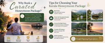 Curated Kerala honeymoon package offering seamless travel planning, expert guidance, and better value.