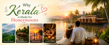Couple enjoying Kerala's backwaters with tea gardens, beaches, luxury houseboats, and wellness experiences.
