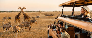Family enjoying a safari drive while watching giraffes and Arabian oryx in Sharjah Safari Park, UAE.