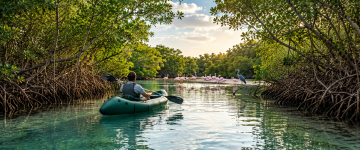 Person kayaking through mangrove forests with flamingos and native birds in a peaceful lagoon.