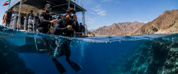 Scuba diver exploring the peaceful underwater world at Dibba Rock UAE