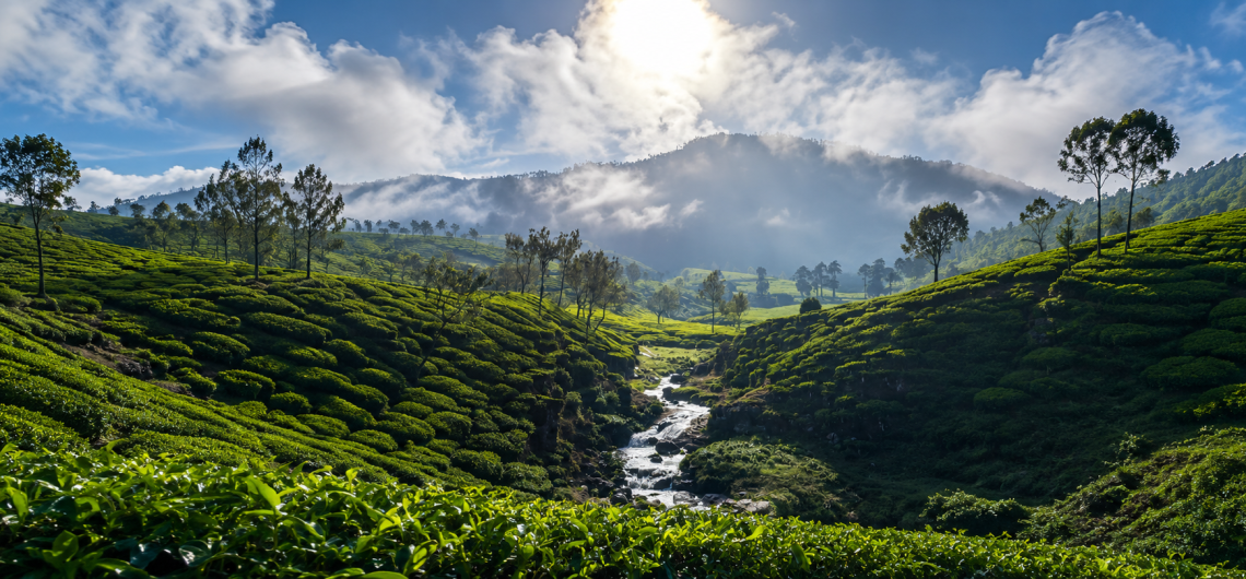 Scenic Munnar tea plantations with mountain stream, misty hills and dramatic clouds in Kerala